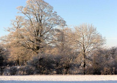 Frost