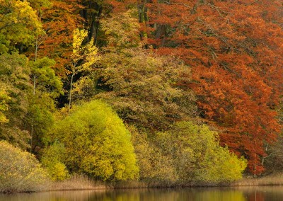 Loweswater